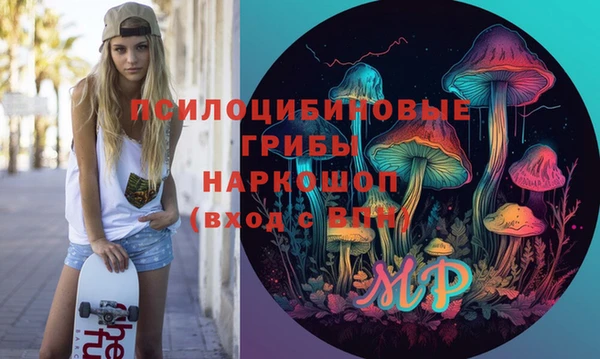 мет Алексин