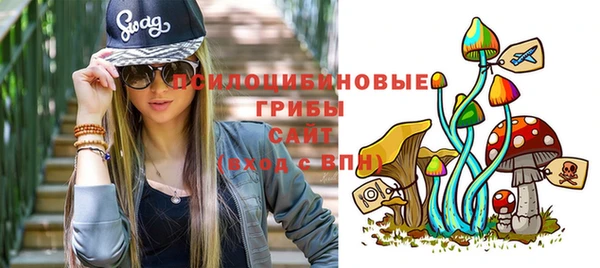 мет Алексин