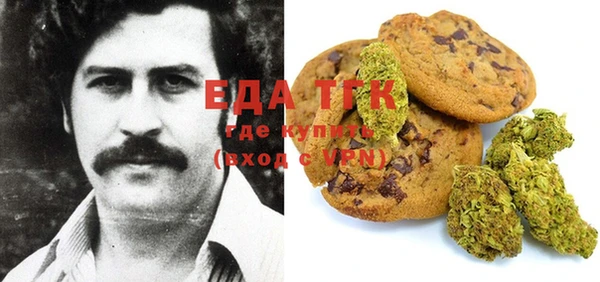 мет Алексин