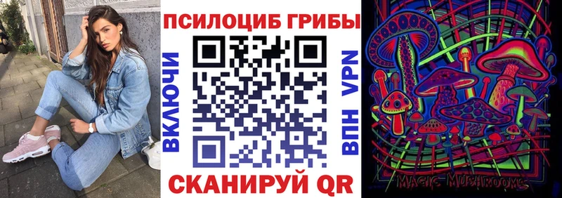 KRAKEN tor  Евпатория  Псилоцибиновые грибы GOLDEN TEACHER 