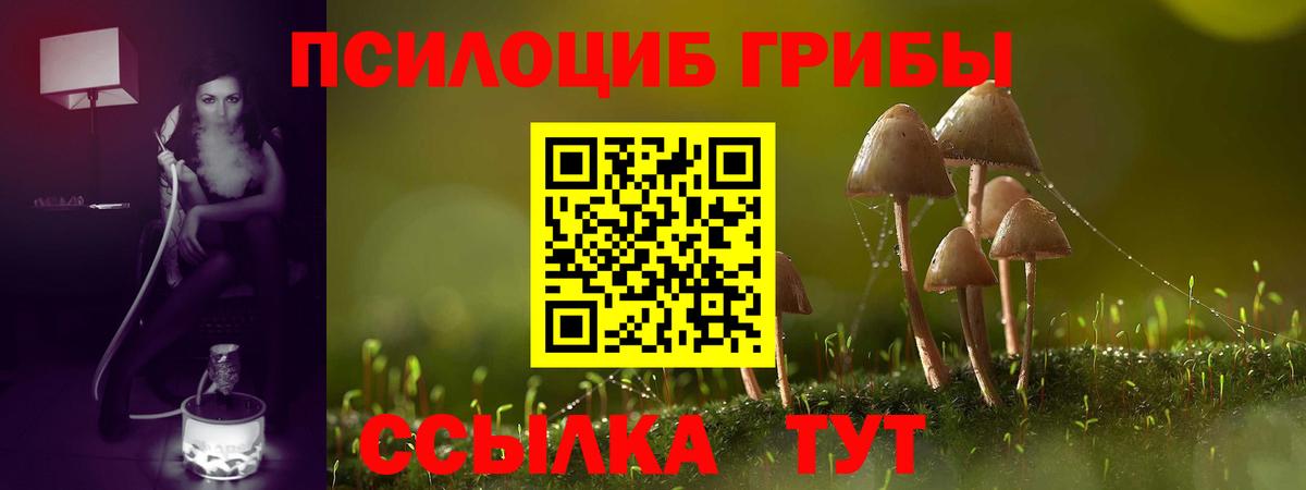 Псилоцибиновые грибы Cubensis Евпатория